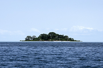 卡謝烏港口查詢_cacheu港口代碼_幾內亞比紹卡謝烏港口代碼